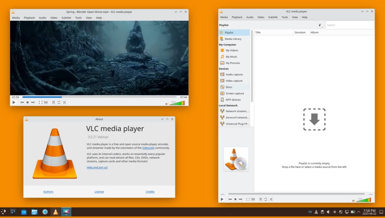 Interface VLC Media Player compatible Adult IPTV